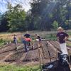 Market Gardening im Naturfreundehaus Teutoburg