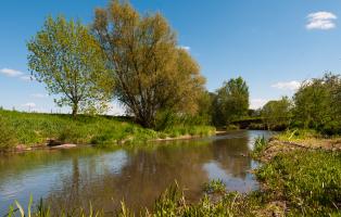 Flusslandschaft 2012/13: Helme