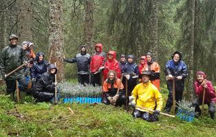 Einsatz im Bergwald